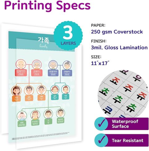 Korean Educational Posters, 11x17 (17 Posters) in Kuwait