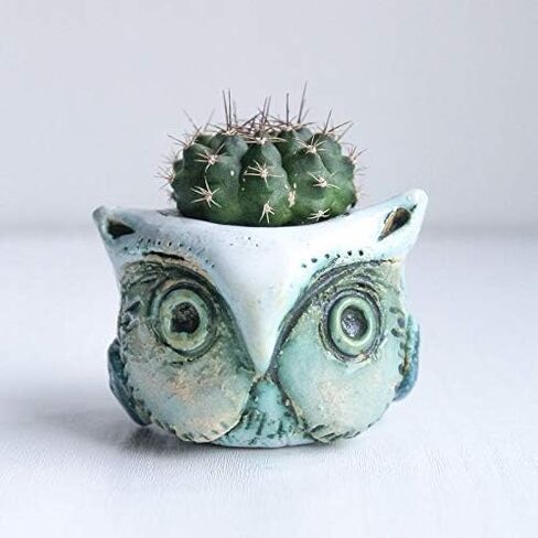 Small Flower Pots for Succulents 1.5-2.4 in - Green Ceramic Owl Mini Pots for Potted Succulent and Cactus Planters Indoor room decor- Cute Planter Animal Shape with drain in Saudi Arabia