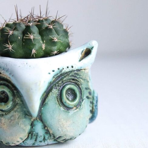 Small Flower Pots for Succulents 1.5-2.4 in - Green Ceramic Owl Mini Pots for Potted Succulent and Cactus Planters Indoor room decor- Cute Planter Animal Shape with drain in Saudi Arabia