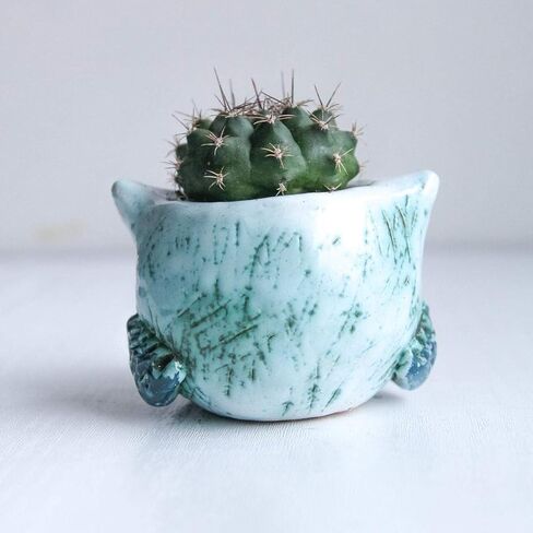 Small Flower Pots for Succulents 1.5-2.4 in - Green Ceramic Owl Mini Pots for Potted Succulent and Cactus Planters Indoor room decor- Cute Planter Animal Shape with drain in Saudi Arabia