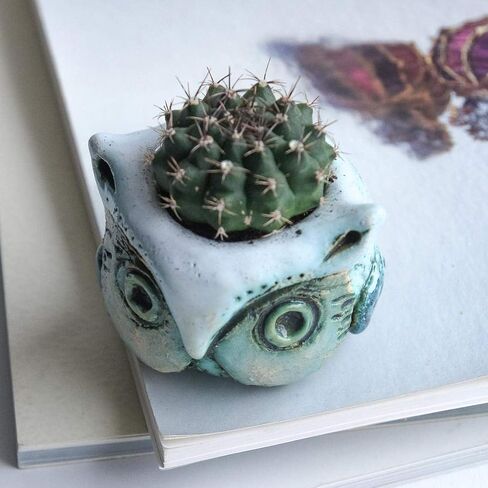 Small Flower Pots for Succulents 1.5-2.4 in - Green Ceramic Owl Mini Pots for Potted Succulent and Cactus Planters Indoor room decor- Cute Planter Animal Shape with drain in Saudi Arabia