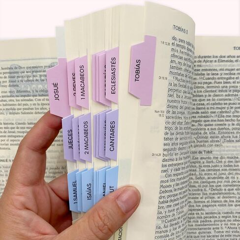 Pestañas para Biblia Católica, en español. Catholic Bible Tabs, in spanish (Blue and gray) in Saudi Arabia
