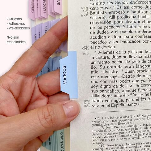 Pestañas para Biblia Católica, en español. Catholic Bible Tabs, in spanish (Blue and gray) in Saudi Arabia
