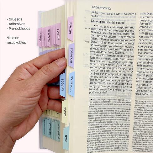 Pestañas para Biblia Católica, en español. Catholic Bible Tabs, in spanish (Blue and gray) in Saudi Arabia