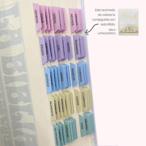 Pestañas para Biblia Católica, en español. Catholic Bible Tabs, in spanish (Blue and gray) in Saudi Arabia