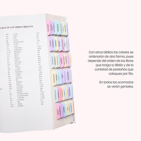 Pestañas para Biblia Católica, en español. Catholic Bible Tabs, in spanish (Blue and gray) in Saudi Arabia