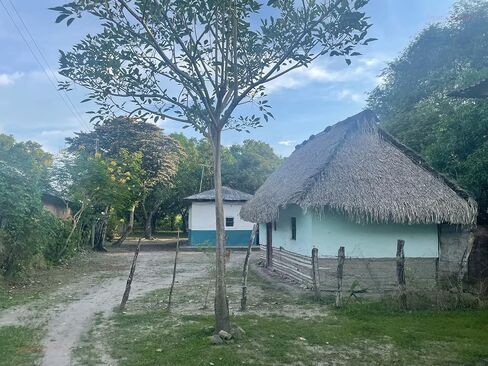 وعاء حساء العشاء الكولومبي التقليدي مع غطاء بقطر 6 بوصات و25 أونصة من الطين الأسود الأصلي مصنوع يدويًا بنسبة 100% في توليما كولومبيا in Kuwait