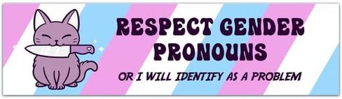Respect Pronouns Vinyl Sticker, Trans, Gender Fluid & Non-Binary Pride, Cute Cat Meme, Waterproof Bumper Flask Sticker with Trans Flag [00089] in Saudi Arabia
