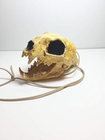 Aztec Death Whistle - Apex Predator in Saudi Arabia