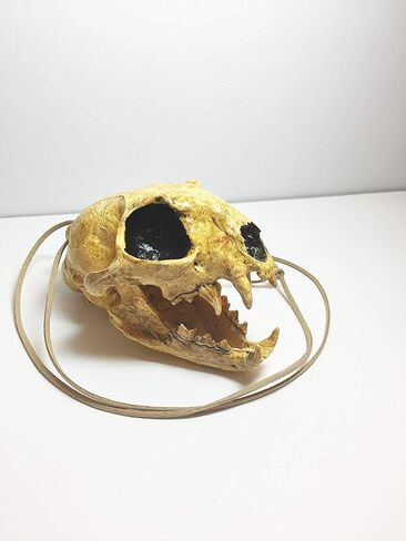 Aztec Death Whistle - Apex Predator in Saudi Arabia