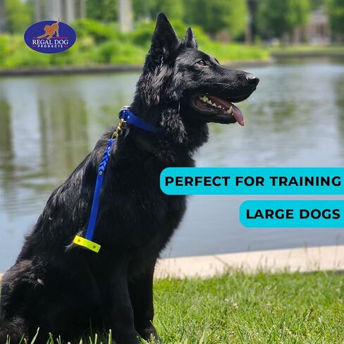 منتجات ريجال دوج مقود قصير للكلاب بمقبض | مقود المرور للكلاب | مقود بيوثين قصير للكلاب لتدريب الكلاب الصغيرة والمتوسطة والكبيرة (12 بوصة/برتقالي وأسود) (وردي/أزرق) in Kuwait