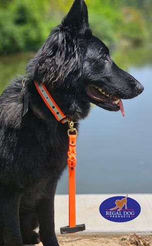 منتجات ريجال دوج مقود قصير للكلاب بمقبض | مقود المرور للكلاب | مقود بيوثين قصير للكلاب لتدريب الكلاب الصغيرة والمتوسطة والكبيرة (12 بوصة/برتقالي وأسود) (وردي/أزرق) in Kuwait