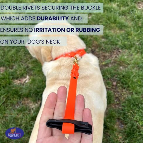 منتجات ريجال دوج مقود قصير للكلاب بمقبض | مقود المرور للكلاب | مقود بيوثين قصير للكلاب لتدريب الكلاب الصغيرة والمتوسطة والكبيرة (12 بوصة/برتقالي وأسود) (وردي/أزرق) in Kuwait