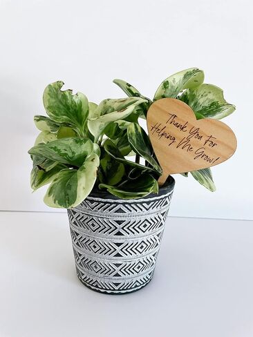 Thank You For Helping Me Grow Teacher Appreciation Wood Engraved Plant Tag in Saudi Arabia