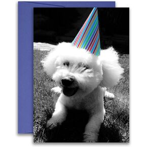 Bichon Frise Birthday Card Dog Birthday Greeting Card 5x7 inches w/Envelope in Kuwait