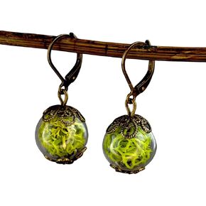 MadamLili - مجموعة أقراط الطحالب الحقيقية - مجوهرات برونزية على الطراز العتيق - قطرات متدلية من نبات الغابة النباتية الخضراء - صناعة يدوية - صندوق هدايا in Kuwait