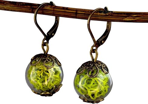 MadamLili - مجموعة أقراط الطحالب الحقيقية - مجوهرات برونزية على الطراز العتيق - قطرات متدلية من نبات الغابة النباتية الخضراء - صناعة يدوية - صندوق هدايا in Kuwait