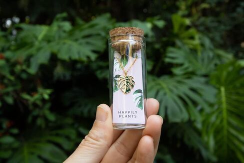 Variegated Monstera Albo, Thai Constellation Leaf Necklace, 18k Gold Monstera Albo Thai Constellation Earring Studs for Women, Men • Plant Gifts in Saudi Arabia