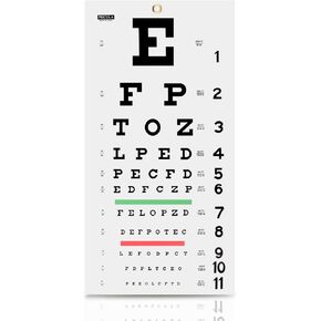PECULA Eye Chart, Snellen Eye Chart, Wall Chart, Eye Charts for Eye Exams 20 feet 11 X 22 in. in Saudi Arabia