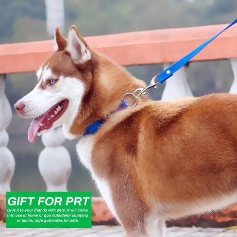 بولارهاوك خطافات كبس مزدوجة الاطراف من الستانلس ستيل، مشابك زناد شديدة التحمل لدلو المياه/ سلسلة الكلاب/دلو تغذية الحيوانات الاليفة/ارجوحة الحيوانات الاليفة والمزيد، عبوة من 6 قطع (3.5 انش، فضي) in Kuwait