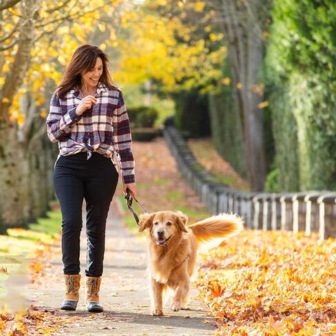 50 PCS Spring Snap Carabiner, Small Carabiner Clip, M5 x 2 Inch Snap Hooks Heavy Duty Carabiner Clips Bulk Hook Keychain for Outdoor Camping, Hiking, Traveling, Backpack, Keychain, Dog Leash in Kuwait