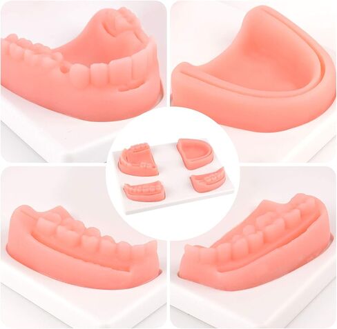 مجموعة تدريب خياطة الأسنان Ultrassist، مجموعة أدوات تدريب خياطة الأسنان لقطع اللثة وخياطة اللثة، أفضل وسادات تدريب خياطة الأسنان لطلاب مدرسة طب الأسنان (استخدام التدريب فقط) in Kuwait