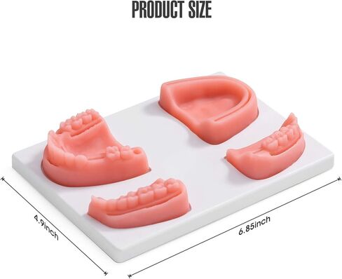 مجموعة تدريب خياطة الأسنان Ultrassist، مجموعة أدوات تدريب خياطة الأسنان لقطع اللثة وخياطة اللثة، أفضل وسادات تدريب خياطة الأسنان لطلاب مدرسة طب الأسنان (استخدام التدريب فقط) in Kuwait