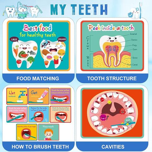 Skylety 2 Set Dentist Kit for Kids Dental Teeth Model with Toothbrush and Children Dental Educational Cards, Dentist Standard Size Fake Braces Demonstration Dental Teaching Kit for Children Student in Saudi Arabia