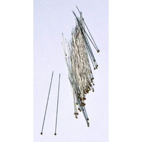 United Scientific Supplies IPIN00-PK/100 Insect Pin #00 Steel (Pack of 100) in Kuwait