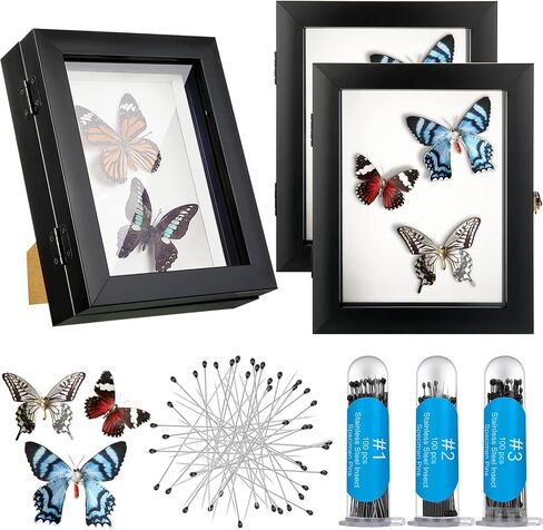 3 Pcs Insect Display Case Collection Box with Clear Top Eva Foam Pin Display Board Shadow Box Pins 300 Pcs 3 Sizes Insect Pins for Collecting Butterfly Specimen, 7.87 x 6.3 x 2.05 Inch in Kuwait