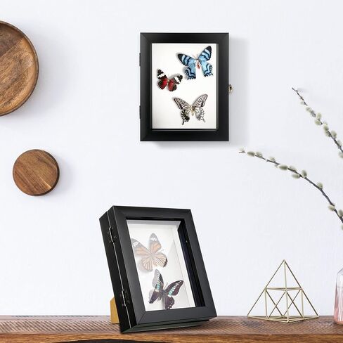 3 Pcs Insect Display Case Collection Box with Clear Top Eva Foam Pin Display Board Shadow Box Pins 300 Pcs 3 Sizes Insect Pins for Collecting Butterfly Specimen, 7.87 x 6.3 x 2.05 Inch in Kuwait