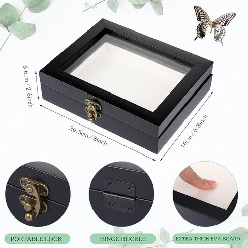 3 Pcs Insect Display Case Collection Box with Clear Top Eva Foam Pin Display Board Shadow Box Pins 300 Pcs 3 Sizes Insect Pins for Collecting Butterfly Specimen, 7.87 x 6.3 x 2.05 Inch in Kuwait