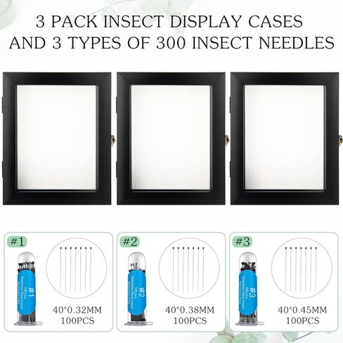 3 Pcs Insect Display Case Collection Box with Clear Top Eva Foam Pin Display Board Shadow Box Pins 300 Pcs 3 Sizes Insect Pins for Collecting Butterfly Specimen, 7.87 x 6.3 x 2.05 Inch in Kuwait