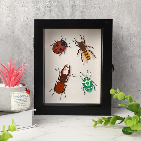 3 Pcs Insect Display Case Collection Box with Clear Top Eva Foam Pin Display Board Shadow Box Pins 300 Pcs 3 Sizes Insect Pins for Collecting Butterfly Specimen, 7.87 x 6.3 x 2.05 Inch in Kuwait