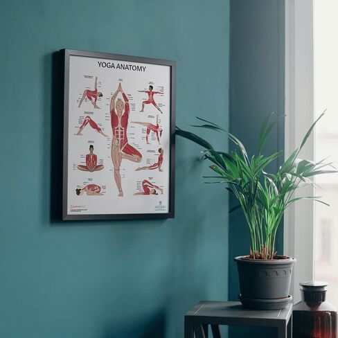 Anatomy Lab Muscular System Anatomical Chart, LAMINATED, 17.3 x 22.5 Inches, Muscles Diagram, Medical Posters, Muscular System Poster, Human Anatomy Poster in Kuwait