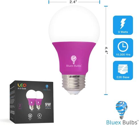 Bluex Bulbs 2 Pack LED A19 Purple Light Bulb - 9W (60Watt Equivalent) - E26 Base LED Purple Bulb, Party Decoration, Porch, Home Lighting, Holiday Lighting, Decorative Illumination (Purple) in Saudi Arabia
