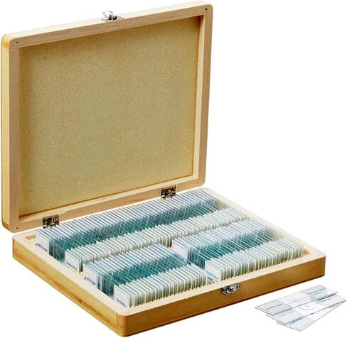 AmScope PS100A Prepared Microscope Slide Set for Basic Biological Science Education, 100 Slides, Set A, Includes Fitted Wooden Case in Saudi Arabia
