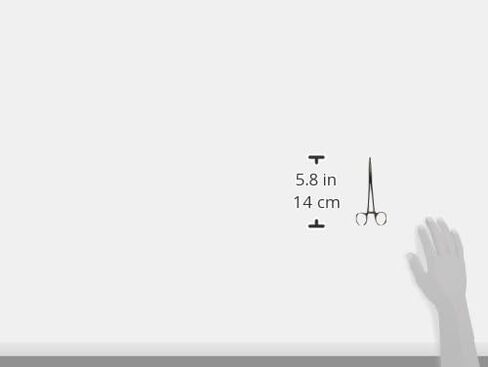 بريجز ملقط قفل ملقط من بريسيجن كيلي، فضي، منحني، 5-1/2 انش، عدد 1 (عبوة من قطعة واحدة) in Kuwait