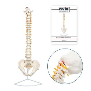 Axis Scientific كتالوج المنتج