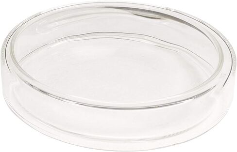 طبق بيتري زجاجي مع أغطية، زجاج بوروسيليكات قابل للتعقيم، مجموعة أطباق مختبرية مكونة من 10 قطع (100 ملم) in Kuwait