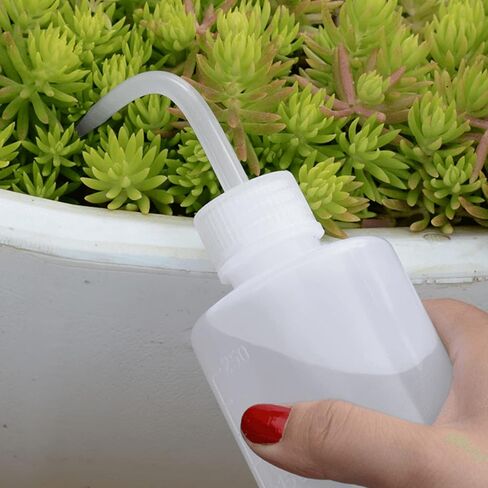 Wash Bottle 2pcs 250ml/8oz Safety Bottles Watering Tools, Economy Plastic Squeeze Washing Cleaning Bottle with Narrow Mouth Scale Labels for Medical Succulent Irrigation Wash Plant Bottle (Black) in Kuwait