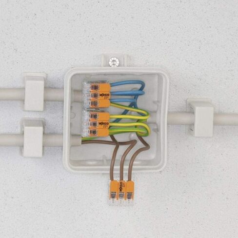 WAGO 221-412/VE00-2500 221 Series 2 Conductor AWG 24 – 12 Transparent Body Connector w/Levers - 50 Item(s), Clamp in Kuwait