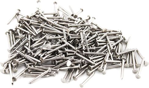 eivvia 300 pcs 0.5 inch of 304 furniture, carpentry, stainless steel mounting nails in Kuwait