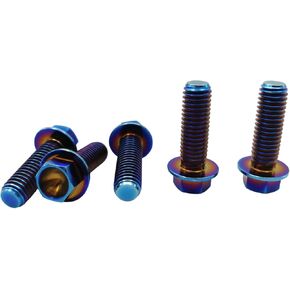 Rison التيتانيوم البراغي التيتانيوم ذات حواف عرافة رئيس الترباس M8x1.25x20mm 6AL4V الفضاء الجوي الصف Ti بولت قوس قزح التيتانيوم الترباس لدراجة نارية سيارة تعديل حزمة من 5