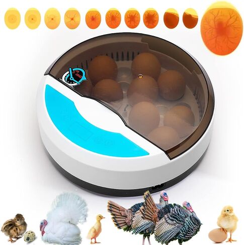 Lreerge Egg Incubator，with 9 LED Lighted Egg Candle Tester and Temperature Control Device One-Key Incubation for Heat Preservation and Mini 9 Egg Incubator Breeder for Chicken, Ducks, Birds in Saudi Arabia