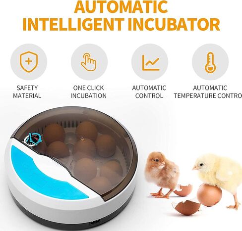 Lreerge Egg Incubator，with 9 LED Lighted Egg Candle Tester and Temperature Control Device One-Key Incubation for Heat Preservation and Mini 9 Egg Incubator Breeder for Chicken, Ducks, Birds in Saudi Arabia