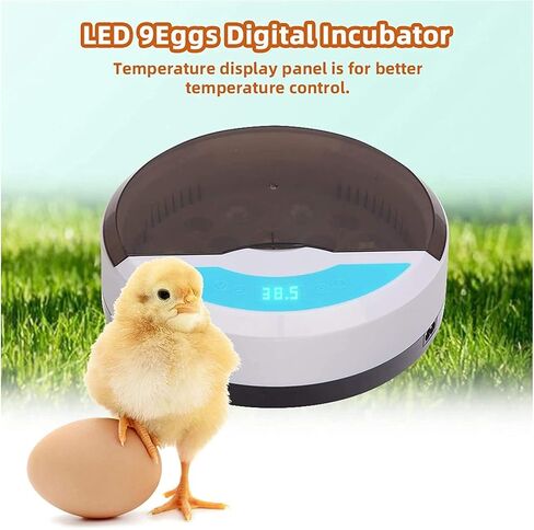 Lreerge Egg Incubator，with 9 LED Lighted Egg Candle Tester and Temperature Control Device One-Key Incubation for Heat Preservation and Mini 9 Egg Incubator Breeder for Chicken, Ducks, Birds in Saudi Arabia