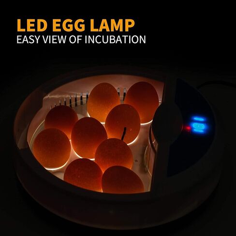 Lreerge Egg Incubator，with 9 LED Lighted Egg Candle Tester and Temperature Control Device One-Key Incubation for Heat Preservation and Mini 9 Egg Incubator Breeder for Chicken, Ducks, Birds in Saudi Arabia
