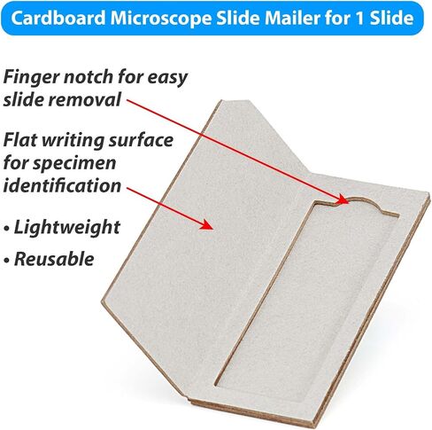 Globe Scientific 513001 Cardboard Slide Mailer for 1 Slide (Case of 100) in Saudi Arabia
