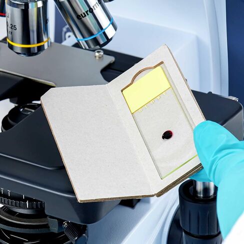 Globe Scientific 513001 Cardboard Slide Mailer for 1 Slide (Case of 100) in Saudi Arabia